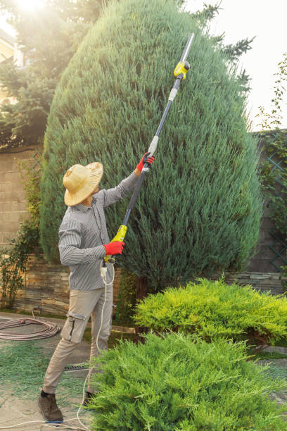 Best Tree Health Inspection  in Mccleary, WA